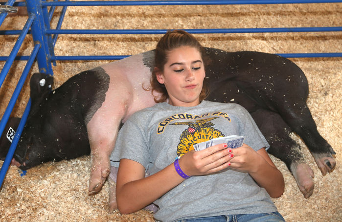 FFA kids at the Kings Fair